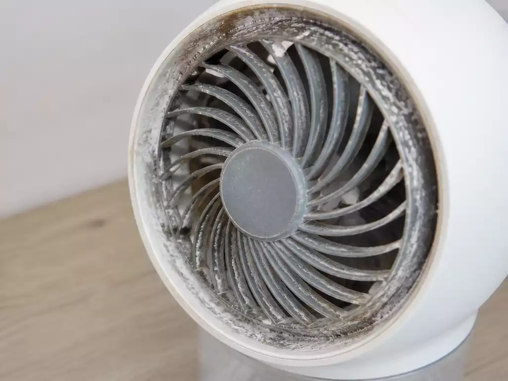 Close-up of a humidifier fan with visible dust and mineral buildup, illustrating a common problem